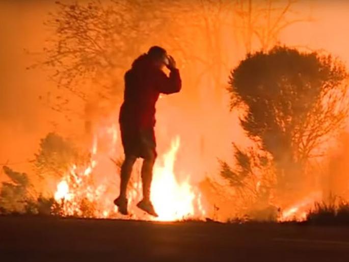 boy entered in wildfire to rescue rabbit in California | वणव्यात अडकलेल्या सशाला वाचवण्यासाठी तरुणाचे प्रयत्न boy entered in wildfire to rescue rabbit in California | वणव्यात अडकलेल्या सशाला वाचवण्यासाठी तरुणाचे प्रयत्न