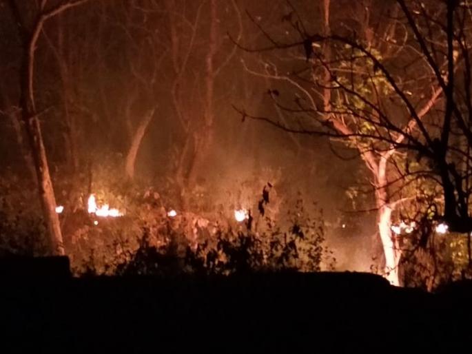 Forest department files case against forest fire in Kashmira miraroad | काशिमीरा येथील जंगलास लागलेल्या आगप्रकरणी वनविभागाने केला गुन्हा दाखल 