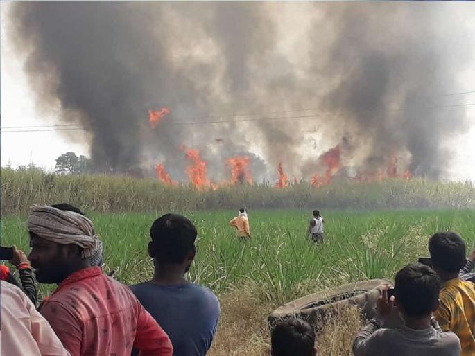 Fierce fire in field due to short circuit, 100 acres of sugarcane burned, incident in Palam, Parabhani | शॉर्ट सर्कीटमुळे शेतात भीषण आग, 100 एकर ऊस खाक; शेतकऱ्यांचे 1 कोटींचे नुकसान Fierce fire in field due to short circuit, 100 acres of sugarcane burned, incident in Palam, Parabhani | शॉर्ट सर्कीटमुळे शेतात भीषण आग, 100 एकर ऊस खाक; शेतकऱ्यांचे 1 कोटींचे नुकसान