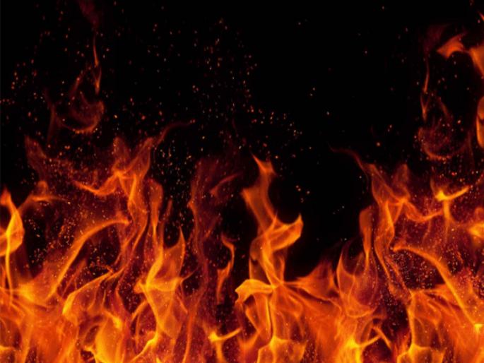 burning wick of the lamp was run away by a rat and it was killed in bhandara | दिव्याची पेटती वात उंदराने पळविली अन् झाला घात! burning wick of the lamp was run away by a rat and it was killed in bhandara | दिव्याची पेटती वात उंदराने पळविली अन् झाला घात!