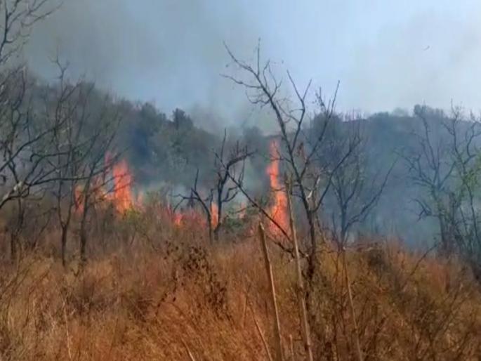 Trees for trees: Flooding in the stone-bask is aroused | वृक्षसंपदा खाक : दगडखाणीमधील भु-सुरुंग स्फोटाने भडकला वणवा