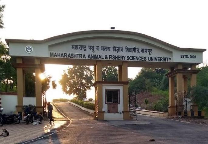 What will happen to Mafsu's exams? Confusion among students | ‘माफसू’च्या परीक्षांचे काय होणार? विद्यार्थ्यांमध्ये संभ्रम