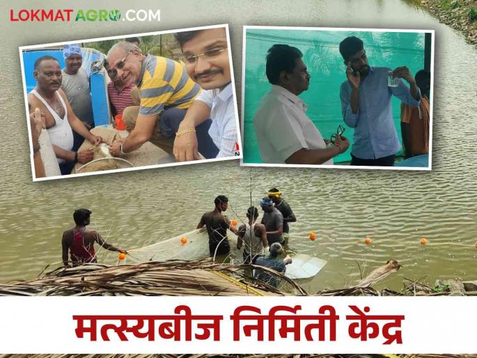 Latest News fish seed production center at Tondapur krushi vidnyan kendra in hingoli | Fish Seed Centre : हिंगोली जिल्ह्यातील शेतकऱ्यांसाठी सुवर्णसंधी, तोंडापूर केव्हीकेत मत्स्यबीज निर्मिती केंद्र
