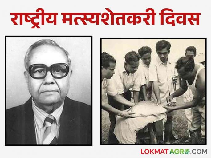 Latest News dr. Hiralal Chaudhary who presented the concept of fish seed production in india | National Fish Day : राष्ट्रीय मत्स्यशेतकरी दिवस : कार्प माशांच्या प्रेरित प्रजननाची संकल्पना कशी सुचली?  Latest News dr. Hiralal Chaudhary who presented the concept of fish seed production in india | National Fish Day : राष्ट्रीय मत्स्यशेतकरी दिवस : कार्प माशांच्या प्रेरित प्रजननाची संकल्पना कशी सुचली?