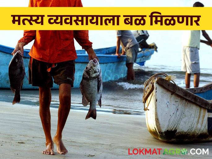 Fishery: Fishing business will get the status of fish farming | Fishery: मत्स्य व्यवसायाला मत्स्य शेतीचा दर्जा मिळणार Fishery: Fishing business will get the status of fish farming | Fishery: मत्स्य व्यवसायाला मत्स्य शेतीचा दर्जा मिळणार