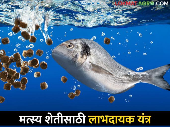 This is a new device to prevent wastage of feed in fish farming | मत्स्यशेतीत खाद्याचा अपव्यय टाळण्यासाठी आलं हे नवीन यंत्र