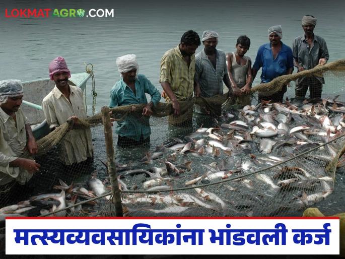 latest News Loans of up to Rs 2 lakh and 4 percent interest repayment concession for fisherman | राज्यातील 'या' मत्स्य व्यवसायिकांना 2 लाखापर्यंतचे कर्ज अन् 4 टक्के व्याज परतावा सवलत latest News Loans of up to Rs 2 lakh and 4 percent interest repayment concession for fisherman | राज्यातील 'या' मत्स्य व्यवसायिकांना 2 लाखापर्यंतचे कर्ज अन् 4 टक्के व्याज परतावा सवलत