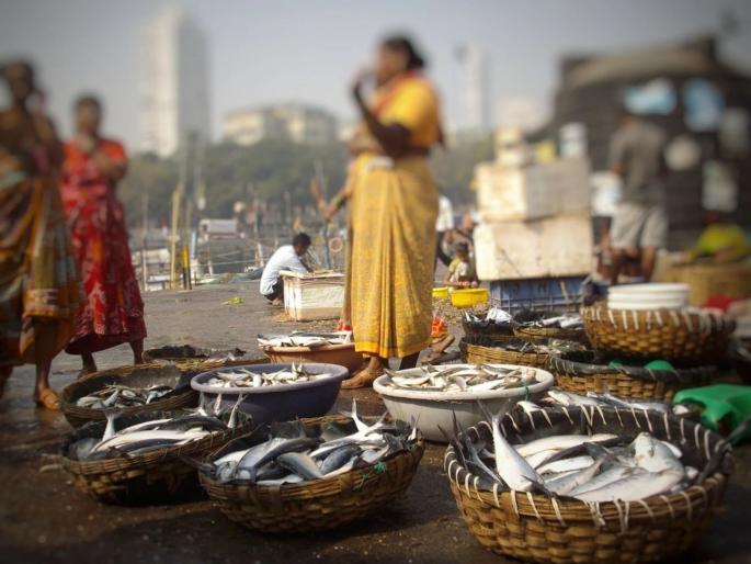 Mumbai: On December 10, public protest march of Koli women at D Division office in Taddeo | १० डिसेंबरला ताडदेव येथील कोळी महिलांचा डी विभाग कार्यालयावर जनआक्रोश मोर्चा Mumbai: On December 10, public protest march of Koli women at D Division office in Taddeo | १० डिसेंबरला ताडदेव येथील कोळी महिलांचा डी विभाग कार्यालयावर जनआक्रोश मोर्चा