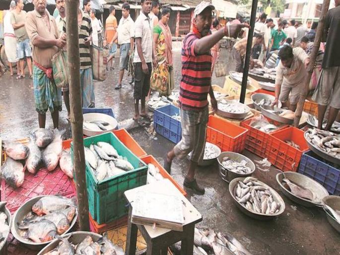 9 boat fishing seized by LEDlight in Ratnagiri | रत्नागिरीमध्ये एलईडीलाईटद्वारे मासेमारी करणाऱ्या ९ बोटी जप्त 9 boat fishing seized by LEDlight in Ratnagiri | रत्नागिरीमध्ये एलईडीलाईटद्वारे मासेमारी करणाऱ्या ९ बोटी जप्त
