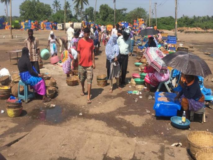 Goa fishing is closed but fish are being sold on the streets | गोव्यात मासेमारी बंद पण रस्त्यांवर मासे विक्री सुरूच Goa fishing is closed but fish are being sold on the streets | गोव्यात मासेमारी बंद पण रस्त्यांवर मासे विक्री सुरूच
