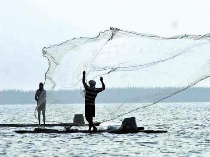 Declare fish drought and provide financial support, demand fishermen association | मत्स्यदुष्काळ घोषित करून आर्थिक सहकार्य करा, मच्छीमार संघटनेची मागणी Declare fish drought and provide financial support, demand fishermen association | मत्स्यदुष्काळ घोषित करून आर्थिक सहकार्य करा, मच्छीमार संघटनेची मागणी