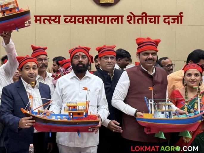 Latest News Fish farming From today, fisheries will be given agricultural status in maharashtra | Fish Farming : मत्स्यव्यवसायाला कृषीचा दर्जा, शेती योजनांचा लाभ घेणे मच्छीमारांना शक्य होणार का?  Latest News Fish farming From today, fisheries will be given agricultural status in maharashtra | Fish Farming : मत्स्यव्यवसायाला कृषीचा दर्जा, शेती योजनांचा लाभ घेणे मच्छीमारांना शक्य होणार का?