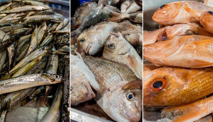 Due to the poisoning of water, thousands of fish were burnt down in the lake | पाण्यात विष कालवल्यामुळे हत्तुर येथील तळ्यातील हजारो मासे दगावले Due to the poisoning of water, thousands of fish were burnt down in the lake | पाण्यात विष कालवल्यामुळे हत्तुर येथील तळ्यातील हजारो मासे दगावले