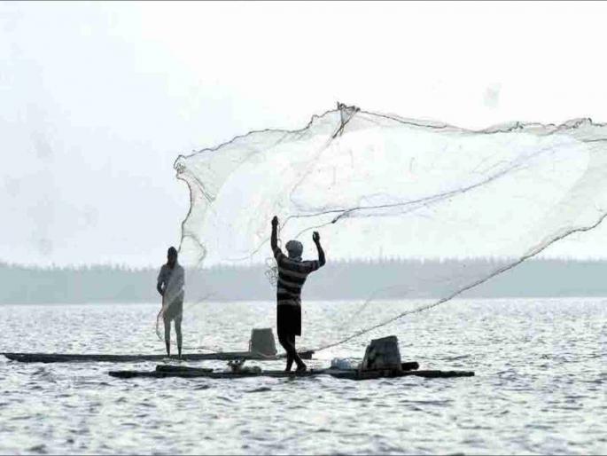 Taloja sewage threatens coastal fisheries | तळोजातील सांडपाण्यामुळे किनारपट्टीवरील मासेमारी धोक्यात Taloja sewage threatens coastal fisheries | तळोजातील सांडपाण्यामुळे किनारपट्टीवरील मासेमारी धोक्यात