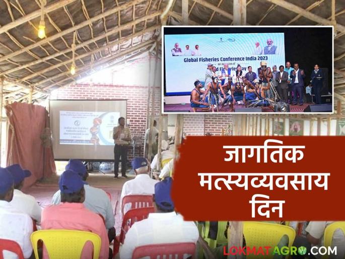 World Fisheries Day: Many opportunities for businessmen from fisheries business | World Fisheries Day : मत्स्य व्यवसायातून मत्सपालकांना अनेक संधी World Fisheries Day: Many opportunities for businessmen from fisheries business | World Fisheries Day : मत्स्य व्यवसायातून मत्सपालकांना अनेक संधी