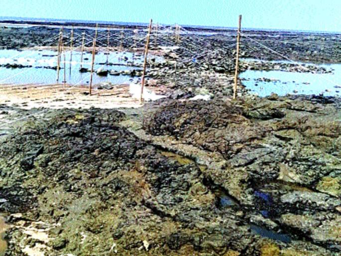 Disadvantages of traditional sea fisheries | पारंपरिक समुद्र मत्स्यशेतीचे नुकसान  Disadvantages of traditional sea fisheries | पारंपरिक समुद्र मत्स्यशेतीचे नुकसान