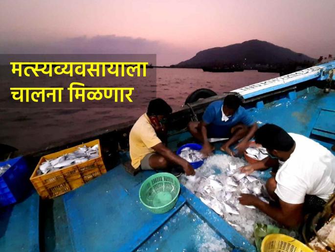 Government decision to grant agricultural status to fisheries sector issued Implementation to begin today | मत्स्यव्यवसाय क्षेत्राला कृषी दर्जा देण्याचा शासन निर्णय जारी; आजपासून होणार अंमलबजावणी