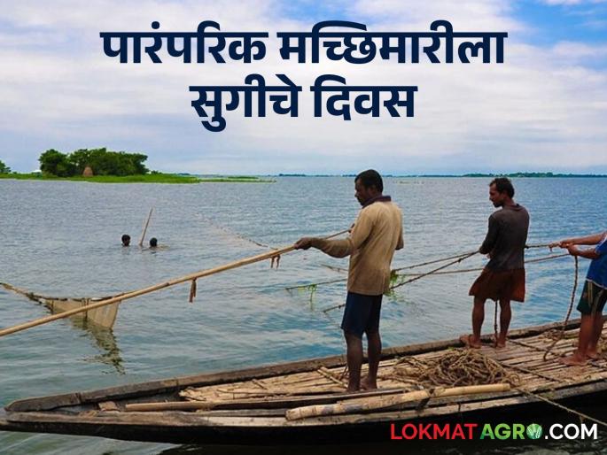 Traditional Fishing; Now traditional fishing will start along the bay | Traditional Fishing आता खाडीकिनारी पारंपरिक मच्छिमारी सुरू होणार Traditional Fishing; Now traditional fishing will start along the bay | Traditional Fishing आता खाडीकिनारी पारंपरिक मच्छिमारी सुरू होणार