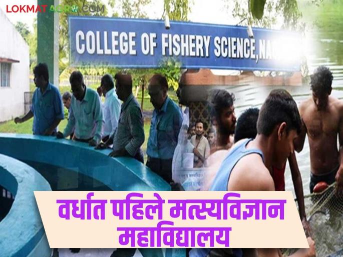 Fishery Science: latest news First Fisheries Science College to be established in Upper Wardha Colony Read in details | Fishery Science : अप्पर वर्धा वसाहतीत साकारणार पहिले मत्स्यविज्ञान महाविद्यालय वाचा सविस्तर Fishery Science: latest news First Fisheries Science College to be established in Upper Wardha Colony Read in details | Fishery Science : अप्पर वर्धा वसाहतीत साकारणार पहिले मत्स्यविज्ञान महाविद्यालय वाचा सविस्तर