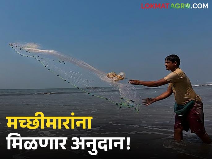 latest news Fishery Scheme: Promotion of fisheries; Financial assistance will be provided on nets, boats and equipment. Read in detail | Fishery Scheme : मत्स्यव्यवसायाला चालना; जाळी, होडी व साधनांवर मिळणार अर्थसाहाय्य वाचा सविस्तर