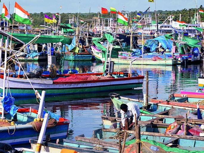 proposal of Konkan Fisheries University was hidden for 12 years says Dr. Bhalchandra Mugnekar |  कोकण मत्स्य विद्यापीठाचा प्रस्ताव १२ वर्ष दडविला - डॉ. भालचंद्र मुगणेकर 