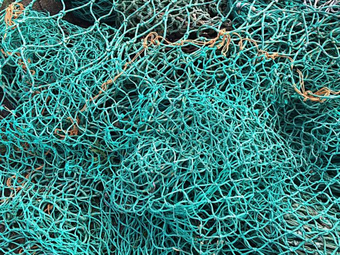 Fighter fights attackball movement demanded to stop fishing with LED light, Persegen Net | एलईडी लाईट, पर्ससीन नेटने होणारी मासेमारी बंद करण्याच्या मागणीसा मच्छिमारांचे हल्लाबोल आंदोलन  Fighter fights attackball movement demanded to stop fishing with LED light, Persegen Net | एलईडी लाईट, पर्ससीन नेटने होणारी मासेमारी बंद करण्याच्या मागणीसा मच्छिमारांचे हल्लाबोल आंदोलन