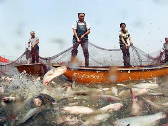 Government of India announced a fund of Rs 2 crore to develop coastal fishing villages | किनारपट्टीवरील मच्छीमार गावांना केंद्र सरकारचे बक्षिस, २० गावांना मिळणार प्रत्येकी २ कोटी रूपये; रत्नागिरी, सिंधुदुर्गातील चार गावे Government of India announced a fund of Rs 2 crore to develop coastal fishing villages | किनारपट्टीवरील मच्छीमार गावांना केंद्र सरकारचे बक्षिस, २० गावांना मिळणार प्रत्येकी २ कोटी रूपये; रत्नागिरी, सिंधुदुर्गातील चार गावे