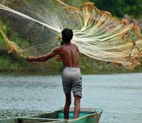 coronavirus: Coronavirus happy days for marine life | coronavirus: कोरोनामुळे समुद्रातील जैवसाखळीला सुखाचे दिवस coronavirus: Coronavirus happy days for marine life | coronavirus: कोरोनामुळे समुद्रातील जैवसाखळीला सुखाचे दिवस