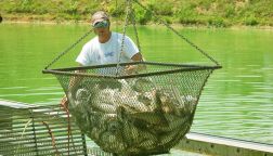 The district's nutritional environment for fishery farming | मत्स्य शेतीसाठी जिल्ह्यात पोषक वातावरण The district's nutritional environment for fishery farming | मत्स्य शेतीसाठी जिल्ह्यात पोषक वातावरण