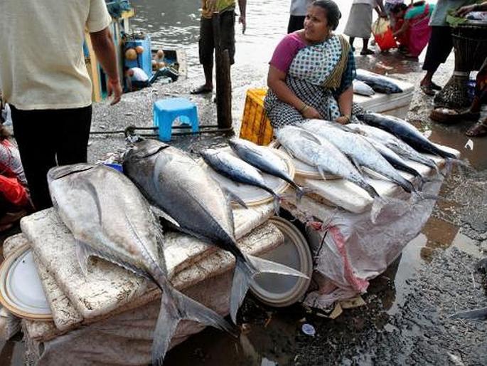 Cyclone hit, with fish prices up 30% in mumbai | कयार चक्रीवादळाचा फटका, माशांच्या किंमतीत 30 टक्क्यांनी वाढ Cyclone hit, with fish prices up 30% in mumbai | कयार चक्रीवादळाचा फटका, माशांच्या किंमतीत 30 टक्क्यांनी वाढ