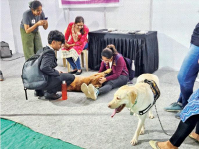 Foot massage, stomach and art therapy for IIT students | आयआयटीच्या विद्यार्थ्यांसाठी फूट मसाज, पेट आणि आर्ट थेरपी Foot massage, stomach and art therapy for IIT students | आयआयटीच्या विद्यार्थ्यांसाठी फूट मसाज, पेट आणि आर्ट थेरपी