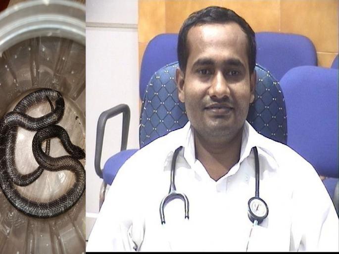 Three Doctors Saved 14 year old girls Life After a poisonous 'Common Krait' Snake Bite Her In Chandrapur | डॉक्टरांचे प्रयत्न, "दिव्यांगी"ला मिळाले जीवनदान; जहाल मण्यार सापाचे अंगात पसरलेचे विष यशस्वीरित्या बाहेर काढले Three Doctors Saved 14 year old girls Life After a poisonous 'Common Krait' Snake Bite Her In Chandrapur | डॉक्टरांचे प्रयत्न, "दिव्यांगी"ला मिळाले जीवनदान; जहाल मण्यार सापाचे अंगात पसरलेचे विष यशस्वीरित्या बाहेर काढले