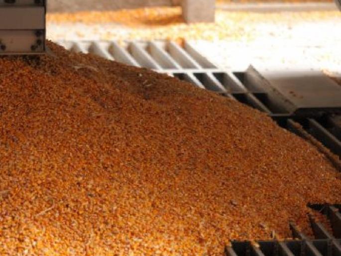 Increase in the price of ethanol produced from grain, 12 percent ethanol in petrol in the new year! | धान्यापासून तयार होणाऱ्या इथेनॉलच्या दरात वाढ, नव्या वर्षात पेट्रोलमध्ये १२ टक्के इथेनॉल ! Increase in the price of ethanol produced from grain, 12 percent ethanol in petrol in the new year! | धान्यापासून तयार होणाऱ्या इथेनॉलच्या दरात वाढ, नव्या वर्षात पेट्रोलमध्ये १२ टक्के इथेनॉल !