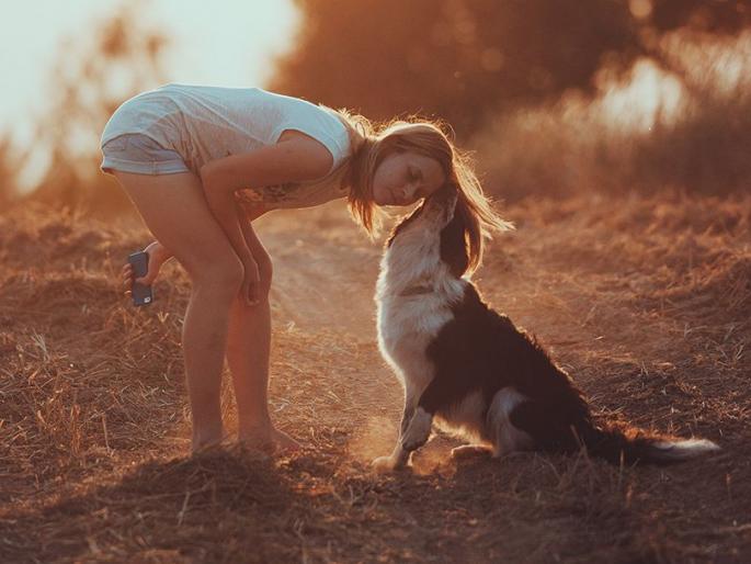 Dog owners might end relationship if the pet doesn't like their partner | बाबो! चक्क कुत्र्याला आवडत नाही म्हणून लोक करतात ब्रेकअप..... Dog owners might end relationship if the pet doesn't like their partner | बाबो! चक्क कुत्र्याला आवडत नाही म्हणून लोक करतात ब्रेकअप.....