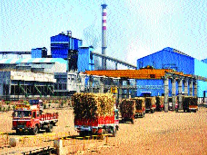 The fact that the factories will be tired, the government decision-makers, | कारखान्यांची होणार दमछाक, शासननिर्णय, तोडणी मजुरांचा संप भोवणार The fact that the factories will be tired, the government decision-makers, | कारखान्यांची होणार दमछाक, शासननिर्णय, तोडणी मजुरांचा संप भोवणार