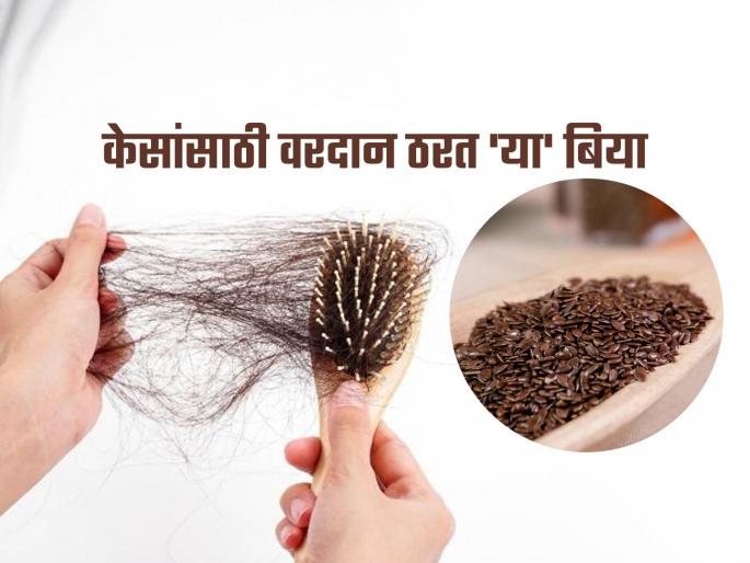 How beneficial is flax seeds for hair and how to use its | केसांची वाढ थांबलीये, केस गळतात 'या' बियांचा करा वापरा; लोक विचारत सुटतील उपाय How beneficial is flax seeds for hair and how to use its | केसांची वाढ थांबलीये, केस गळतात 'या' बियांचा करा वापरा; लोक विचारत सुटतील उपाय
