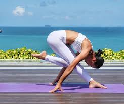 flamingo exercise - at home | फ्लेमिंगो पक्ष्याची कॉपी मारून करायचा भारी व्यायाम flamingo exercise - at home | फ्लेमिंगो पक्ष्याची कॉपी मारून करायचा भारी व्यायाम