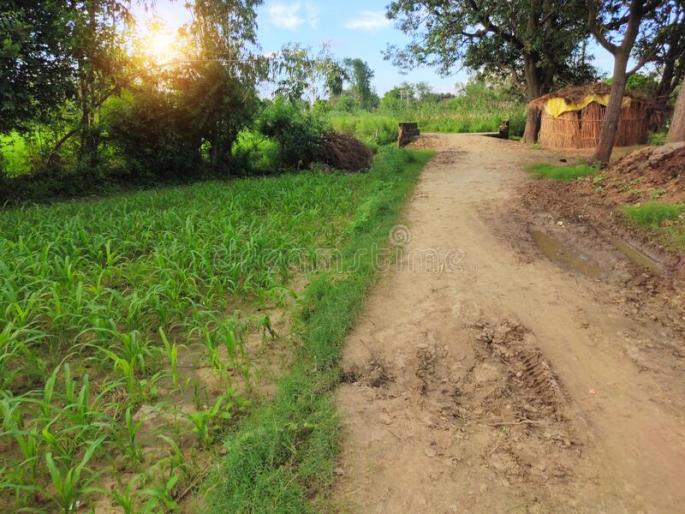 Field road work not at par expectation | पाणंद रस्ता कामातील पाणी मुरतेय कुठे? Field road work not at par expectation | पाणंद रस्ता कामातील पाणी मुरतेय कुठे?