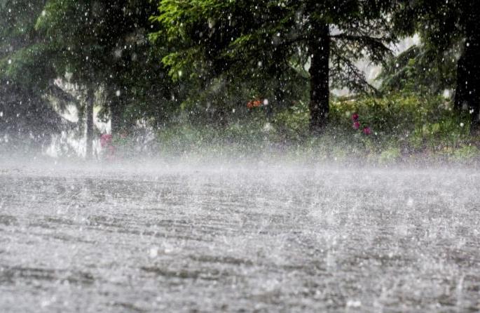 The schedule of rain stars became irregular! | पावसाच्या नक्षत्रांचे वेळापत्रक झाले अनियमित! The schedule of rain stars became irregular! | पावसाच्या नक्षत्रांचे वेळापत्रक झाले अनियमित!