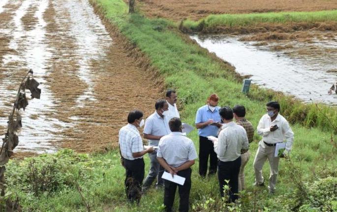 Finally, the Center remembered the flood-hit farmers of Vidarbha | अखेर केंद्राला विदर्भातील पूरग्रस्त शेतकरी आठवले Finally, the Center remembered the flood-hit farmers of Vidarbha | अखेर केंद्राला विदर्भातील पूरग्रस्त शेतकरी आठवले