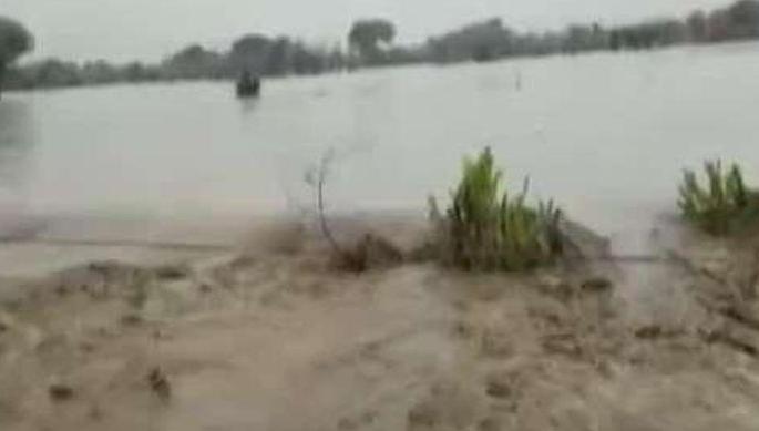 four survivors were saved in Flood | पुरात अडकलेल्या चौघांना वाचवले four survivors were saved in Flood | पुरात अडकलेल्या चौघांना वाचवले