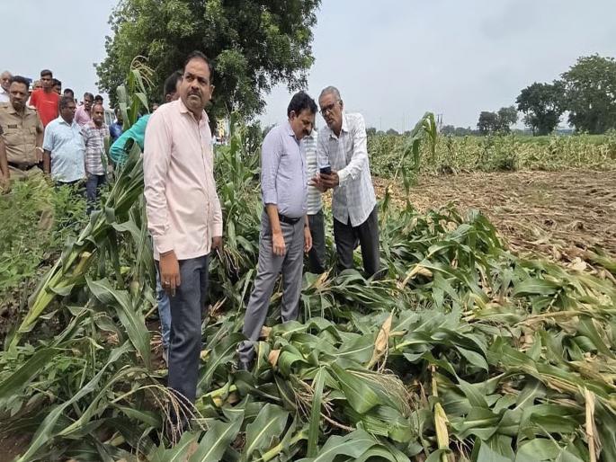 Floods in Marathwada damage crops on more than 3.3 million hectares, farmers frustrated by government norms | मदतीच्या आड आता निकषांचा डोंगर! हातातोंडाशी आलेल्या पिकांचा चिखल, शेतीचे वाळवंट अन् हताश शेतकरी