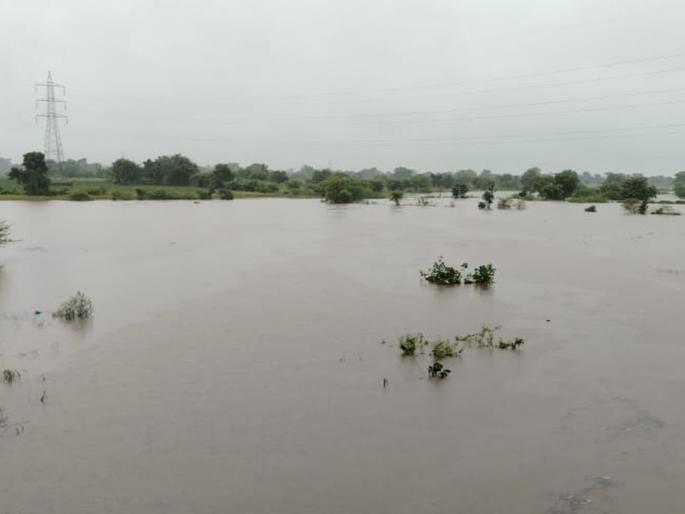 Flood situation in Marathwada, Vidarbha; Contact with hundreds of villages was lost, there was only water in the fields, crops were covered in mud | मराठवाडा, विदर्भात पूरस्थिती; शेकडो गावांचा संपर्क तुटला, शेतशिवारात पाणीच पाणी, पिकांचा चिखल Flood situation in Marathwada, Vidarbha; Contact with hundreds of villages was lost, there was only water in the fields, crops were covered in mud | मराठवाडा, विदर्भात पूरस्थिती; शेकडो गावांचा संपर्क तुटला, शेतशिवारात पाणीच पाणी, पिकांचा चिखल