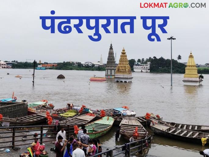 1 lakh 17 thousand cusecs released into Bhima river from Ujani and Veer dams; Flood situation in Pandharpur for the fifth time | उजनी व वीर धरणांतून भीमा नदीत १ लाख १७ हजार क्युसेकचा विसर्ग; पंढरपुरात पाचव्यांदा पूरस्थिती
