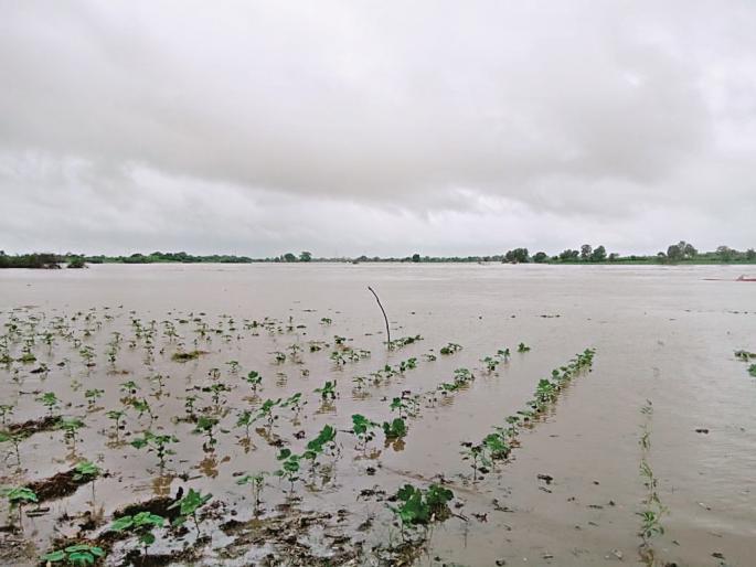 Agriculture in Kolhapur region hit Rs 3,500 crore | कोल्हापूर विभागातील शेतीला साडेतीन हजार कोटींचा फटका