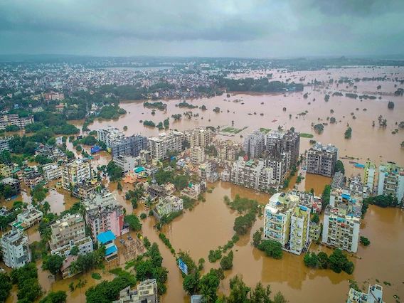 Register floodplain land in three months | पूरग्रस्त जमिनीची तीन महिन्यांत नोंदणी करा; हरित लवादाने दिले आदेश Register floodplain land in three months | पूरग्रस्त जमिनीची तीन महिन्यांत नोंदणी करा; हरित लवादाने दिले आदेश