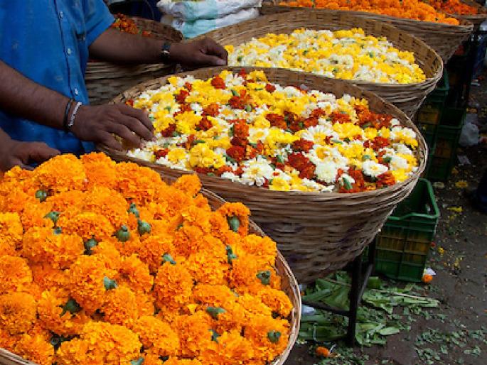 Due to pitru paksha the Big impact on the flower market, prices fell due to lack of demand | पितृपक्षामुळे फुलांचा बाजार कोमेजला, मागणीअभावी दरात घट