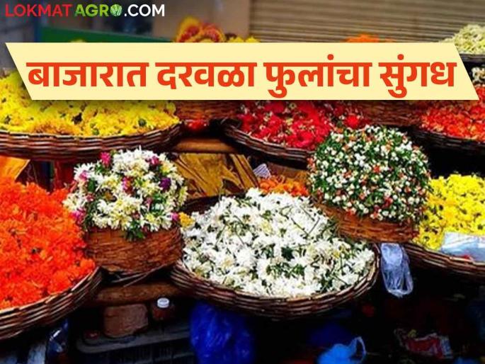 Floral Market : Rose, Shewanti, Nisigandh, Mogra are in demand in the market  | Floral Market : गुलाब, शेवंती, निशिगंध, मोगराला बाजारात मागणी 
