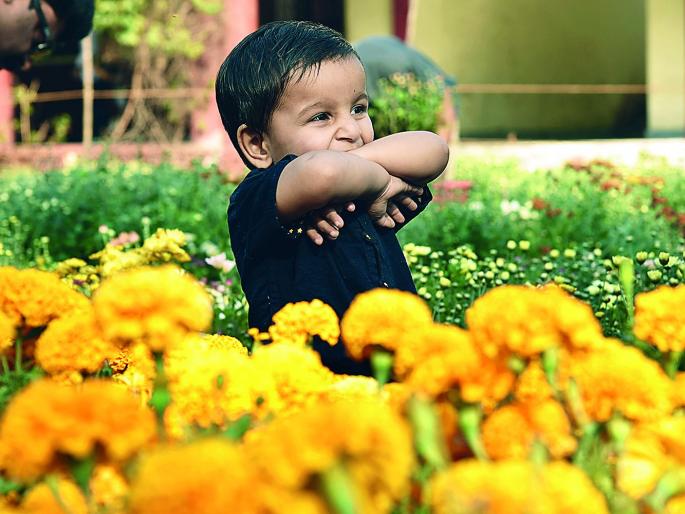 The flowering ceremony of 25 thousand flowers in Nagpur | अबब ! नागपुरात फुलला उत्सव तब्बल २५ हजार फुलझाडांचा The flowering ceremony of 25 thousand flowers in Nagpur | अबब ! नागपुरात फुलला उत्सव तब्बल २५ हजार फुलझाडांचा
