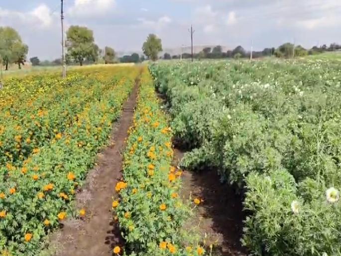 Why sell the farm? Earn lakhs by setting up an agri-tourism center! What is the plan? | शेत का विकायचं? कृषी पर्यटन केंद्र थाटून लाखोंत कमावायचं ! काय आहे योजना? Why sell the farm? Earn lakhs by setting up an agri-tourism center! What is the plan? | शेत का विकायचं? कृषी पर्यटन केंद्र थाटून लाखोंत कमावायचं ! काय आहे योजना?